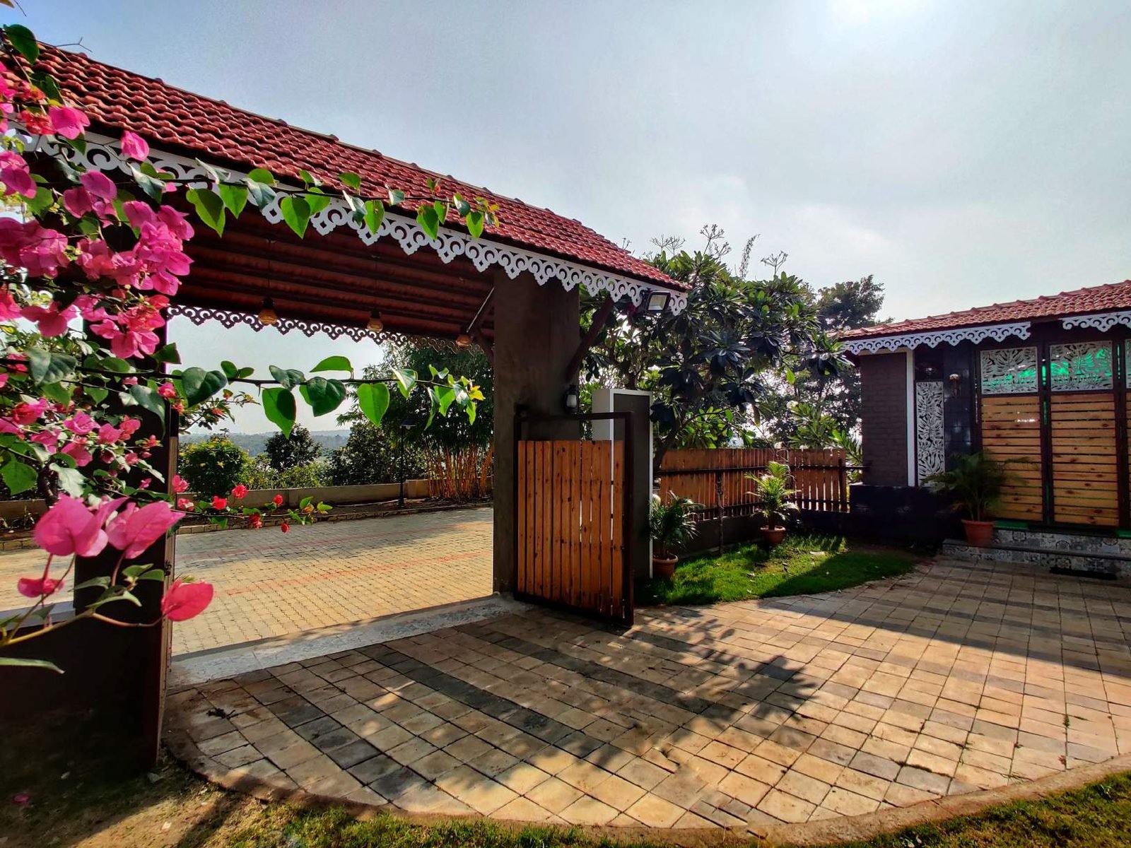 Bougainvillea over the garden pergola at Mangli Lake Farm